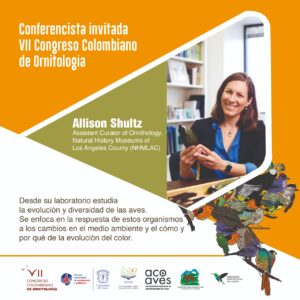 Conferencista Invitado Allison Shultz